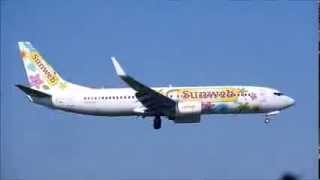 Transavia Airlines  Sunweb Livery  B 737800  PHHZL [upl. by Goodyear855]