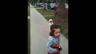 Little girl walking the dog [upl. by Yreneh]