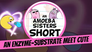 An EnzymeSubstrate Meet Cute  Amoeba Sisters Shorts [upl. by Ettevroc]