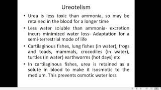 Ureotelism Dr Seema Menon [upl. by Dellora]