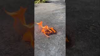 Gas Lighter Vs Petrol ⛽️ shorts frahultalk experiment [upl. by Otrebcire]