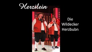 Herzilein  Die Wildecker Herzbuben [upl. by Zielsdorf]