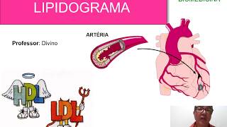 Lipidograma Aula 1 Bioquímica Clínica [upl. by Gretta463]