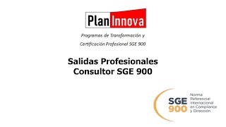 Salidas Profesionales para el Consultor de Empresas  Certificado de Excelencia SGE900 [upl. by Yeslrahc153]