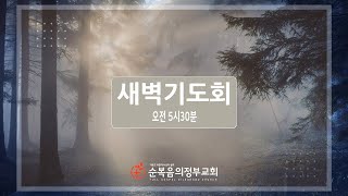 2024년10월21일 새벽예배 김대원 목사 [upl. by Nythsa]