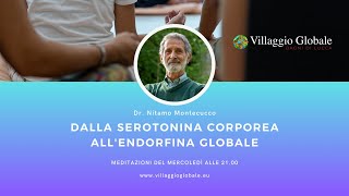 Dalla serotonina corporea allendorfina globale 09  13 Novembre 2024 [upl. by Ekyt]