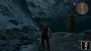 The witcher 3 blood and wine Aerondight and oil glitch test1short videopatch 122 pcps4xbox one [upl. by Anar]