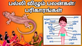 பல்லி விழும் பலன்கள்பரிகாரங்கள் Palli Vizhum Palangal Parigarangal [upl. by Otrebile223]