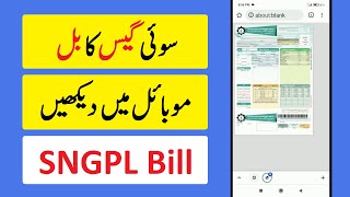 SUI Gas Bill Check Karne Ka Tarika  How To Check SNGPL Bill Online [upl. by Eelta67]