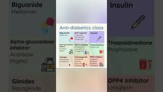 AntiDiabetic Drugs Class [upl. by Erihppas]