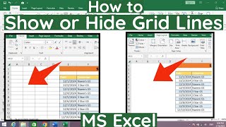 How to Hide Grid Lines in MS Excel  Hide or Show Grid Lines in MS Excel  Grid Lines in MS Excel [upl. by Abroms254]