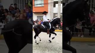 PRESENTACION DEL CABALLISTA CUYAMEL CARNAVAL TELA ATLÁNTIDA 2024 [upl. by Ragan]