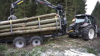 Logging with new Valtra A124 forestry tractor fully loaded Palms trailer and crane 786 [upl. by Sidnala235]