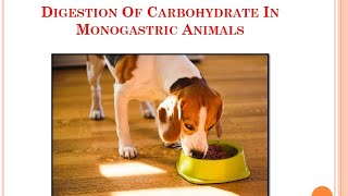 Digestion Of Carbohydrate In Monogastric AnimalsVeterinaryPhysiology [upl. by Millburn]