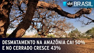 Desmatamento na Amazônia cai 50 e no Cerrado cresce 43 em 2023  SBT Brasil 050124 [upl. by Joceline]