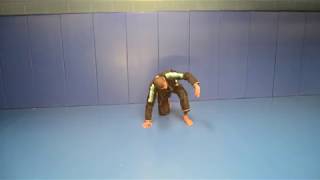 Basic BJJ Front Roll [upl. by Aseyt]