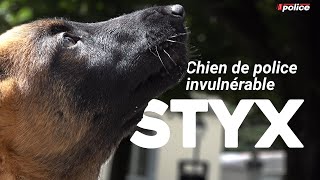 Styx  chien de police invulnérable [upl. by Weksler]