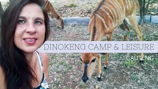 Dinokeng Camp amp Leisure  Dinokeng Game Reserve  Gauteng Campsites [upl. by Dyson]