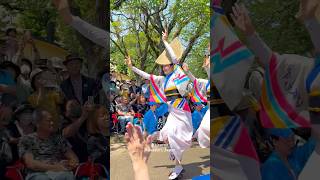 【べっぴんのゑびす様降臨！】徳島城阿波おどりえびす連 japan 阿波おどり 祭り ダンス dance [upl. by Codie]