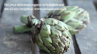 How to prepare and cook an artichoke from Abel amp Cole [upl. by Haden]