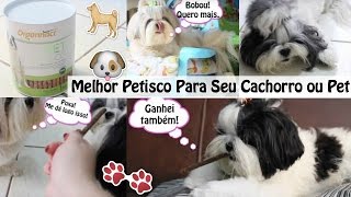 Organnact Pet Palitos Ossinhos  Suplemento Alimentar  Melhor Petisco P CachorroPet ๏ Lói Cúrcio [upl. by Nim]