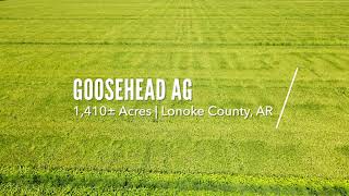 Goosehead Ag 2 [upl. by Lefton]