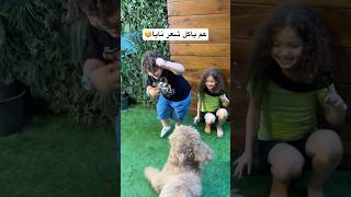 مين خاف من التاني ؟ الكلب أو نايا و علي😅 shortvideo viralvideo explorepage [upl. by Gnoy112]