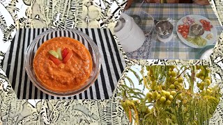 Amla chutney with Onion and Garlic Amla lahsun pyaz Chutney Recipe of Aanwale Chatni in Hindi [upl. by Islaen]