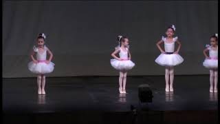 Coreografia quotPrimeiros Passosquot  Baby Class [upl. by Novello]