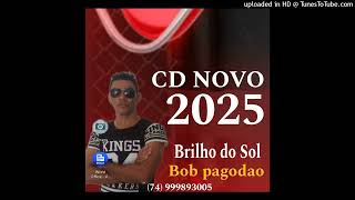 Brilho do sol 2024 [upl. by Ttergram]