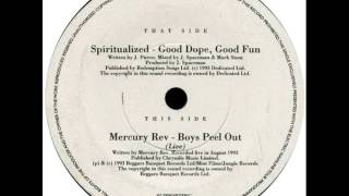 Spiritualized  Good Dope Good Fun Lay Back In The Sun Greenpeace single [upl. by Ayim546]