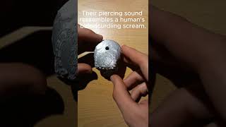 3D printed Aztec death whistle [upl. by Ocire103]