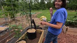 Christines Garden Tour On Gilliam Farms OurMountainHome316 RootsandRefugeFarm [upl. by Eedyak]