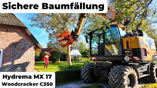 Baumfällen mit dem Hydrema MX17 Präzisionsarbeit am Haus 🪓🚜 [upl. by Jillene]