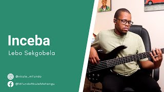 Lebo Sekgobela  Inceba  Bass Cover [upl. by Nnyletak]