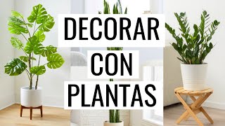 ✅ Las 10 mejores PLANTAS DE INTERIOR PARA DECORAR tu hogar 🌿 PURIFICAN AIRE  CUIDADO [upl. by Korney]