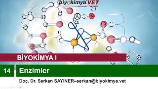 BİYOKİMYAI  Konu 14 Enzimler [upl. by Pike29]