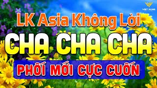 LK Cha Cha Cha Music 2024 Phối Mới Cực Cuốn  Hoà Tấu Cha Cha Cha Band 2024►Asia Golden Cha Cha Cha [upl. by Elayor]