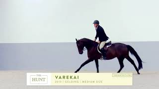 VAREKAI  Profile Video  The Hunt 2017 [upl. by Baiel]