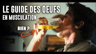 Le guide des œufs en musculation  extrait [upl. by Othe]