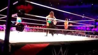 NatalyaRosa MendesEmmaSummer RaeAlicia FoxCameron entrances WWE DublinIreland April 2015 [upl. by Alexander]