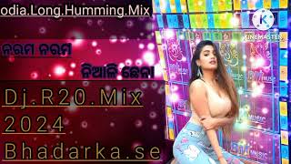 NarmaNaramaNialiChenaaNewOdiaHotDanceHummingBassMixDjSongDjR20Mix2024 [upl. by Delcina]