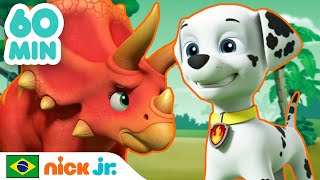 Patrulha Canina  60 MINUTOS da nova Patrulha Canina  Nick Jr em Português [upl. by Ehman371]