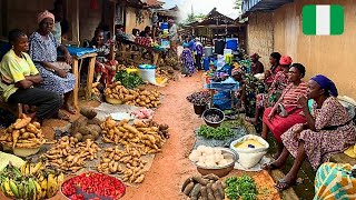 Organic Foodstuff Prices from Nigerian Rural Market [upl. by Hesketh531]