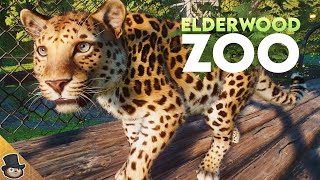 Building An Amur Leopard Habitat With Walkway In Planet Zoo  Elderwood Zoo [upl. by Killoran]