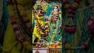 bhakti song  Tu Mera Main Tera Pyare radharadhe radhekrishna radhekrishnalovers [upl. by Cruce447]