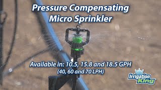 IrrigationKing Pressure Compensating MicroSprinklers [upl. by Bo200]