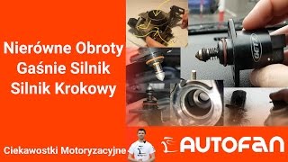 Nierówne Obroty Gaśnie Silnik  Silnik Krokowy  AUTOFAN [upl. by Isewk]