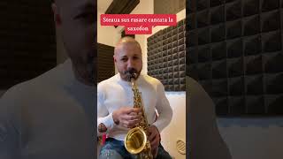 Steaua sus rasare  Cover Sax [upl. by Chiaki]