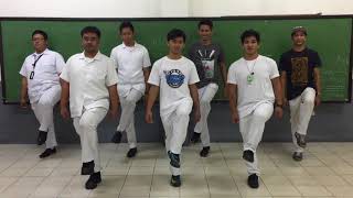 Lower Extremity D1 and D2 Flexion and Extension Dance [upl. by Tengler]